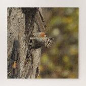 Chipmunk, wilde dieren, puzzel (Horizontaal)