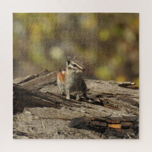 Chipmunk, wilde dieren, puzzel