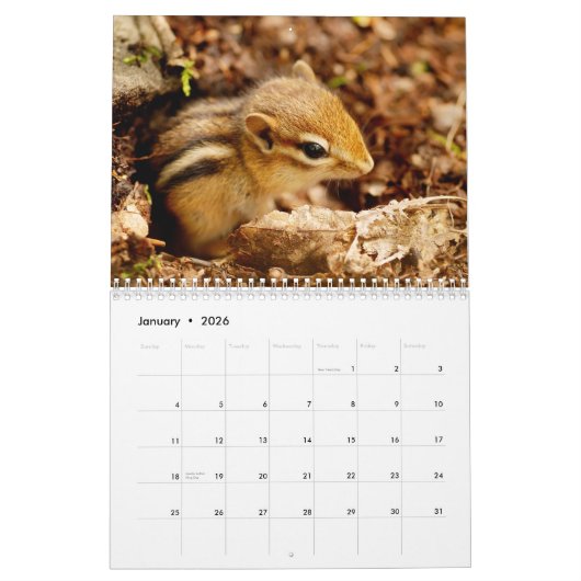 Chipmunks. Een supergeluid 2013 wandkalender Kalender (Jan 2026)