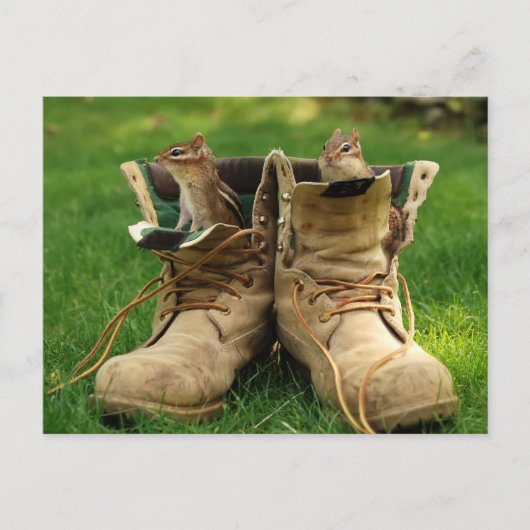 Chipmunks in Boots Briefkaart (Voorkant)