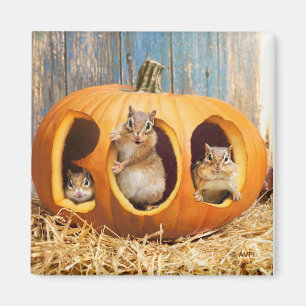 Chipmunks Inside Boo Jack-o-Lantern Magneet