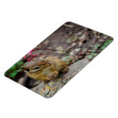 Chipmunk's Meal Magneet (Linkerzijde)