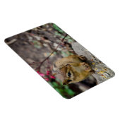 Chipmunk's Meal Magneet (Rechterzijde)