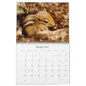 Chipmunks ! Un calendrier mural super mignon (Jan 2027)