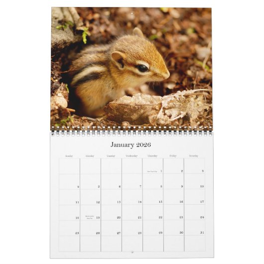 Chipmunks ! Un calendrier mural super mignon (Jan 2026)