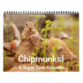 Chipmunks ! Un calendrier mural super mignon (Protection)