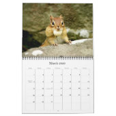 Chipmunks ! Un calendrier mural super mignon (Mar 2026)