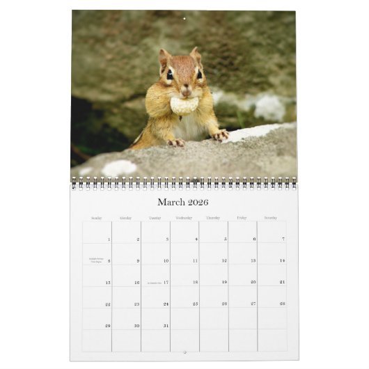 Chipmunks ! Un calendrier mural super mignon (Mar 2026)