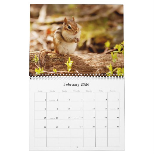 Chipmunks ! Un calendrier mural super mignon (Feb 2026)