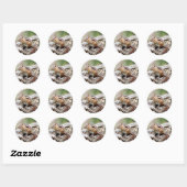 ChipmunkStickers Ronde Sticker (Vel)