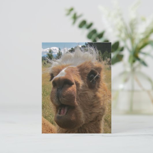 Chipper Alpaca Briefkaart (Staand voorkant)