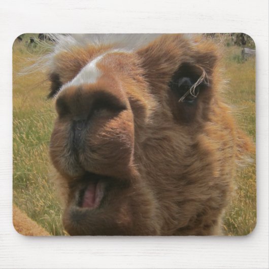 Chipper Alpaca Muismat (Voorkant)