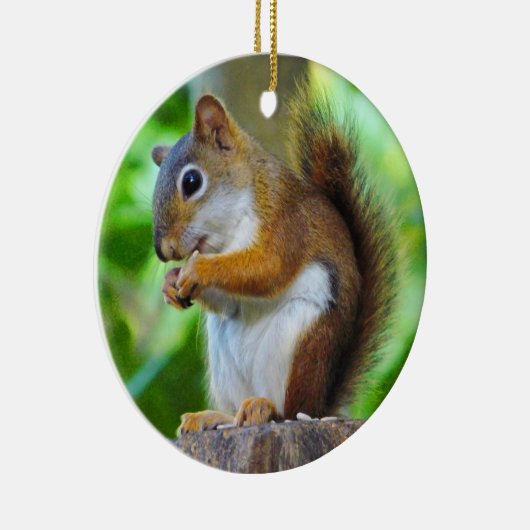Chipper Red Squirrel Keramisch Ornament (Rechts)