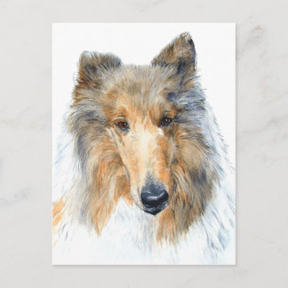Chipper the Collie Briefkaart