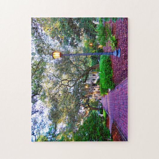 Chippewa Square Savannah Legpuzzel (Verticaal)