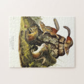 Chipping Eekhoorn ( Eastern Chipmunk ) van Audubon Legpuzzel (Horizontaal)