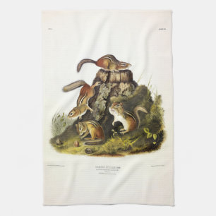 Chipping Eekhoorn ( Eastern Chipmunk ) van Audubon Theedoek