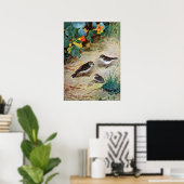Chipping Sparrow Family en Nasturtiums Poster (Thuiskantoor)