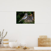 Chipping Sparrow geeft jonge Poster (Keuken)