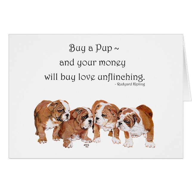 Chippon anglais Bulldog (Devant horizontal)