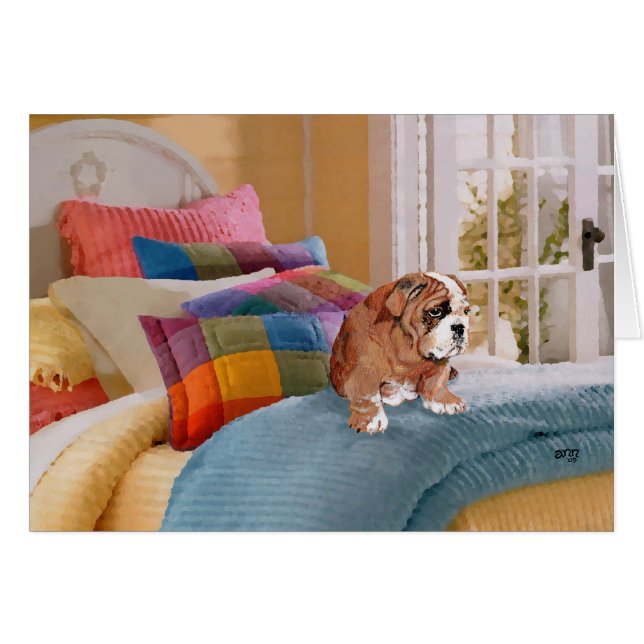 Chippon anglais Bulldog (Devant horizontal)