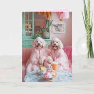 Chique Labradoodles in een roze lounge