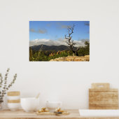 Chiricahua Mountains, AZ. Poster (Keuken)