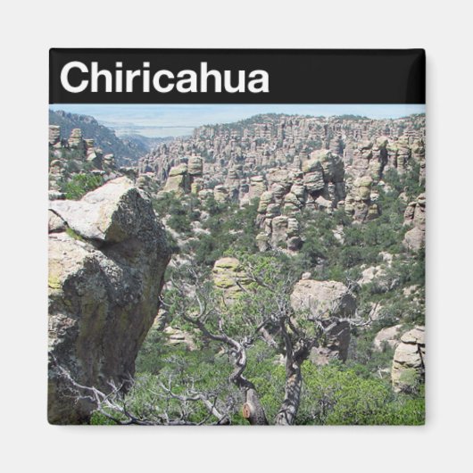 Chiricahua National Monument Magneet (Voorkant)