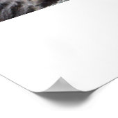 "Chiro-Cat" Poster (Hoek)