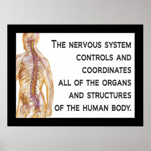 Chiropractic Nerves Quote Poster aanpassen
