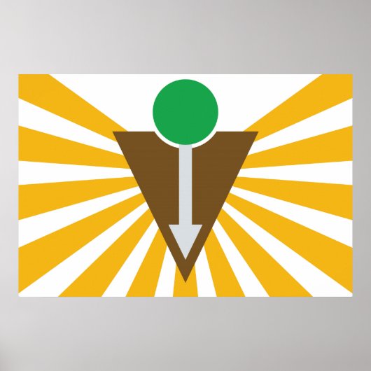 Chiropractisch Poster (Voorkant)