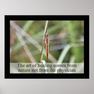 Chiropraktijk Quotes and Gezegden Health Poster