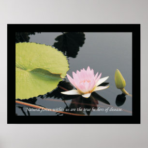 Chiropraktijk Quotes and Gezegden Health Poster