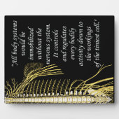 Chiropraktijk Zenuwstelsel Quote Easel Fotoplaat (Voorkant)