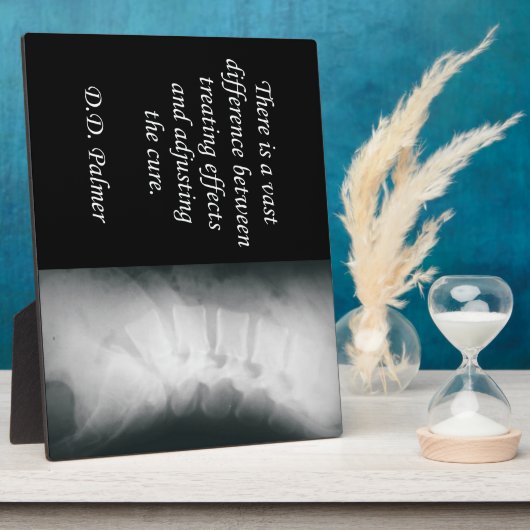 Chiropraktijkgerichte aanpassing van de kure esel fotoplaat (Zijkant)