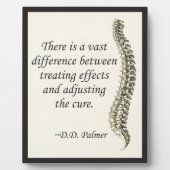 Chiropraktijkgerichte aanpassing van de kure esel fotoplaat (Voorkant)