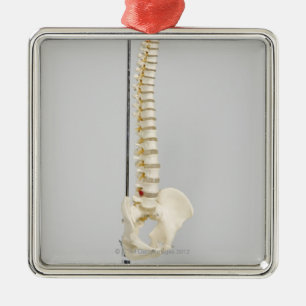 Chiropraktisch skelet metalen ornament