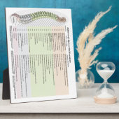 Chiropraktische effecten van ruggegraatsubluxe Eas Fotoplaat (Zijkant)