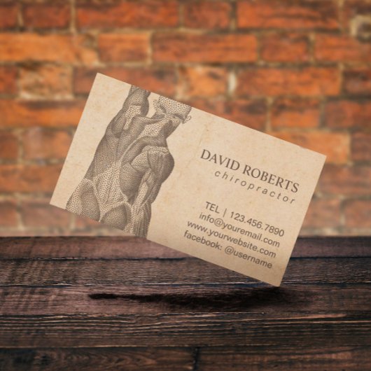 Chiropraticien Massage Thérapie Rendez-vous Vintag