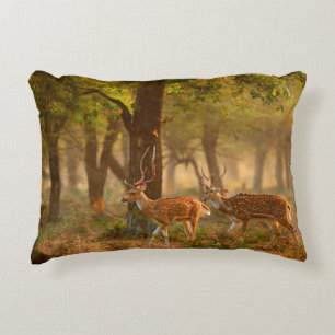 Chital or cheetal, Axis axis, spotted deers or axi Accent Kussen