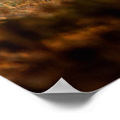 Chital or cheetal, Axis axis, spotted deers or axi Poster (Hoek)