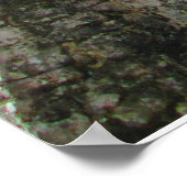 CHITCHENITZA #3 POSTER (Coin)