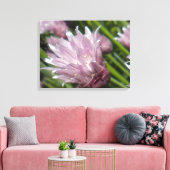 Chive Blossom Canvas Afdruk (Insitu (Woonkamer))