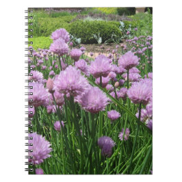 Chive Blossom Notebook Notitieboek
