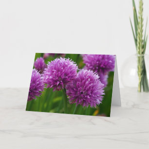 Chive Flowers 'So Sorry' Kaart
