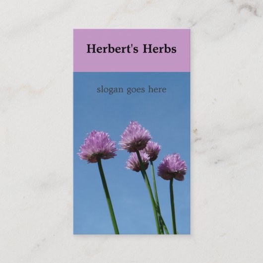 Chive Herb Flower Bloom Visitekaartje (Voorkant)