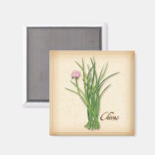 Chives Herb Magnet Magneet (Voorkant / Achterkant)