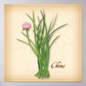 Chives Herb Poster (Voorkant)