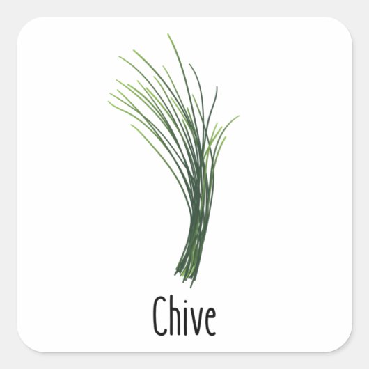 Chives Kruiden Kruiden Vierkante Sticker (Voorkant)