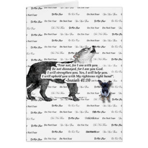 Chiwawa d'hurlement de loup - ne craignez pas -